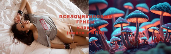 мяу мяу мука Щигры