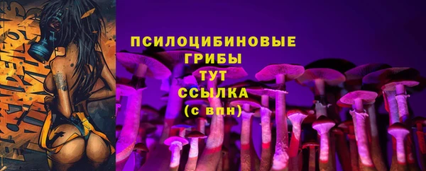 мяу мяу мука Щигры