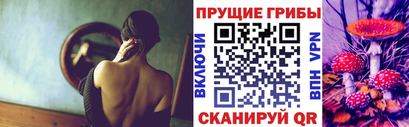 Купить закладки  Ак-Довурак  Галлюциногенные грибы Magic Shrooms 