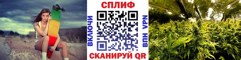 Купить где  Ак-Довурак  Бошки Шишки AK-47 